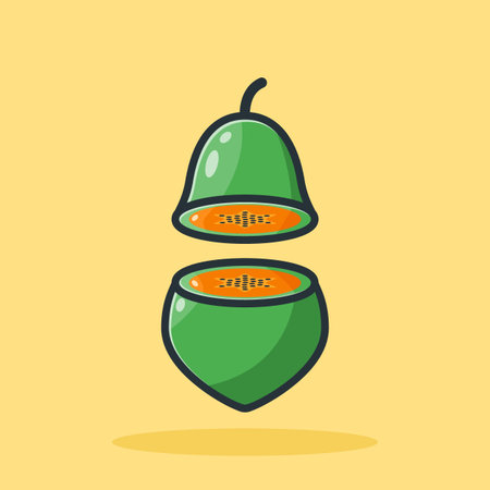 papaya fruit vector design illustration halvedのイラスト素材