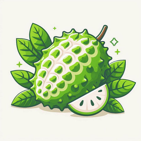 Soursop fruit isolated on white background. Vector cartoon illustration.のイラスト素材