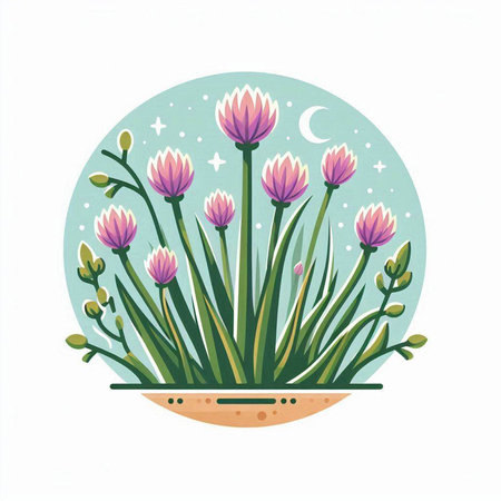 Flowering meadow in the moonlight. Vector illustration.のイラスト素材