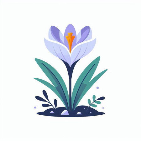 Crocuses, spring flowers. Vector illustration in flat style.のイラスト素材