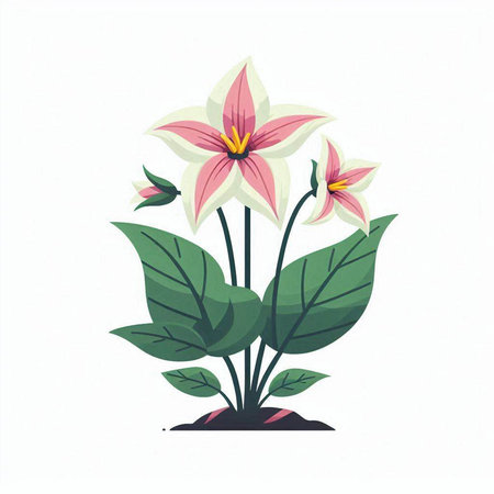 Flowering lily in a pot with leaves. Vector illustration.のイラスト素材