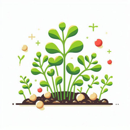 Green sprout growing from soil on white background. Vector illustration.のイラスト素材