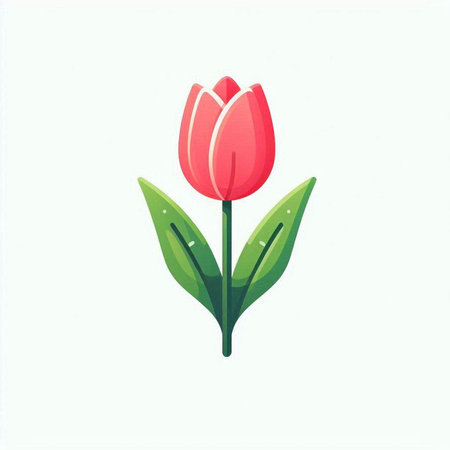 Red tulip with green leaves on a white background. Vector illustration.のイラスト素材