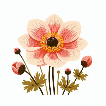 Anemone flower isolated on white background. Vector illustration for your designのイラスト素材