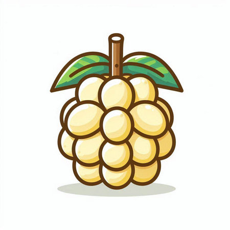 Custard apple icon isolated on white background. Vector illustration.のイラスト素材