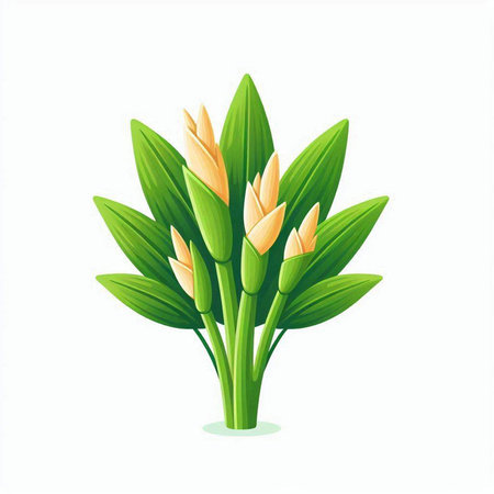 Bouquet of tulips on a white background. Vector illustration.のイラスト素材