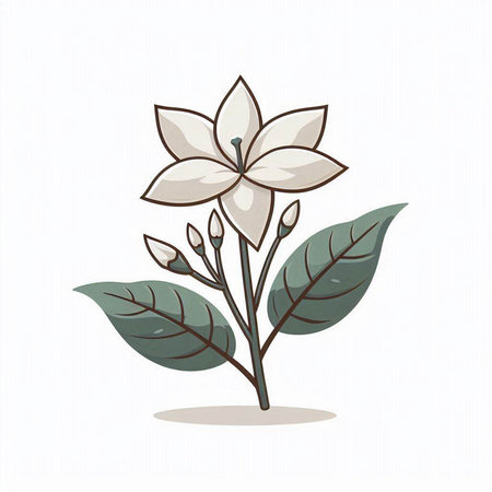 Illustration of a white flower with green leaves on a white backgroundのイラスト素材