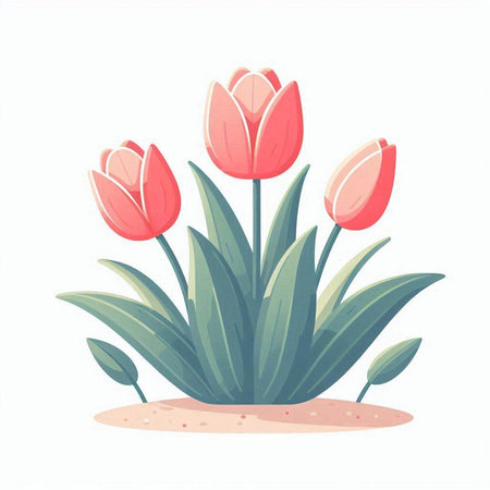 Tulip flower isolated on white background. Vector illustration in cartoon style.のイラスト素材