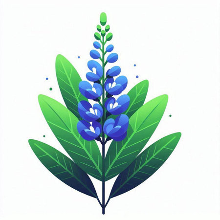 Blue lupine flowers on a white background. Vector illustration.のイラスト素材
