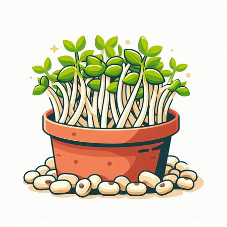 Micro greens in a pot on a white background. Vector illustration.のイラスト素材