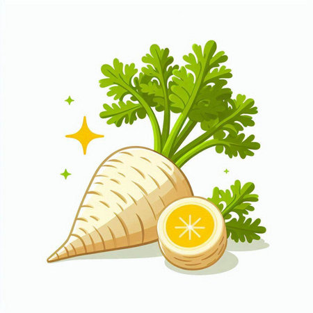 Illustration of fresh parsley and carrot isolated on white background.のイラスト素材