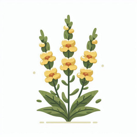 Cute yellow flowers with green leaves on white background. Vector illustration.のイラスト素材