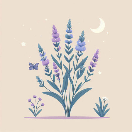 Lavender flowers with butterfly and moon. Hand drawn vector illustration.のイラスト素材