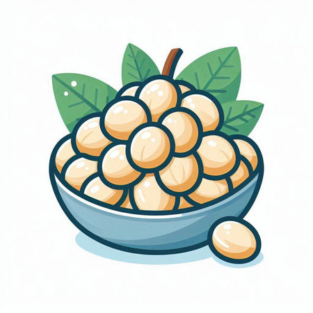 Longan fruit in a bowl isolated on white background. Vector illustration.のイラスト素材