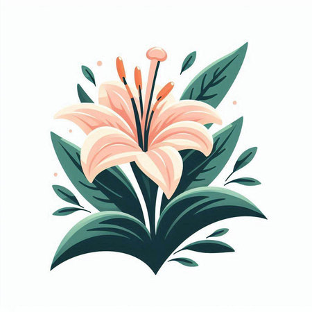 Lily flower with green leaves. Vector illustration on white background.のイラスト素材