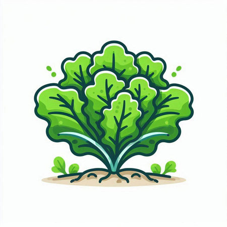 Cabbage plant icon. Vector illustration isolated on white background. Cartoon style.のイラスト素材