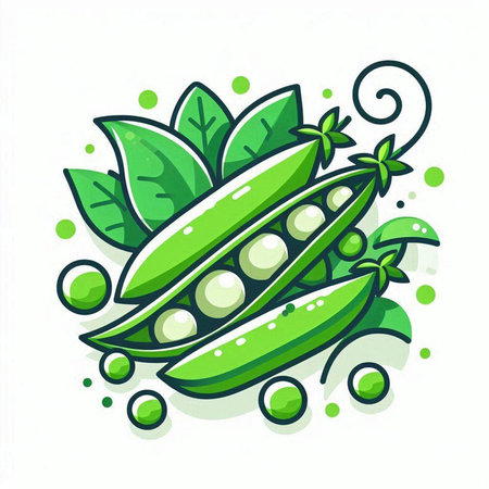 Peas with pods and leaves on white background. Vector illustration.のイラスト素材