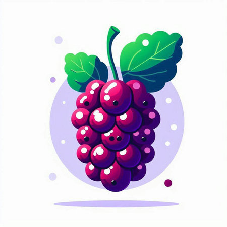 Grapes on white background. Vector illustration in flat style.のイラスト素材