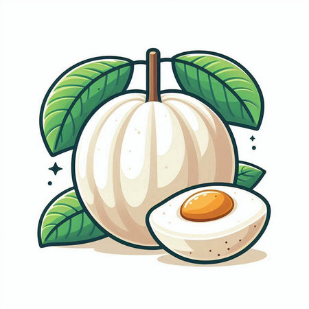 Illustration of a whole and cut longan fruit with green leavesのイラスト素材