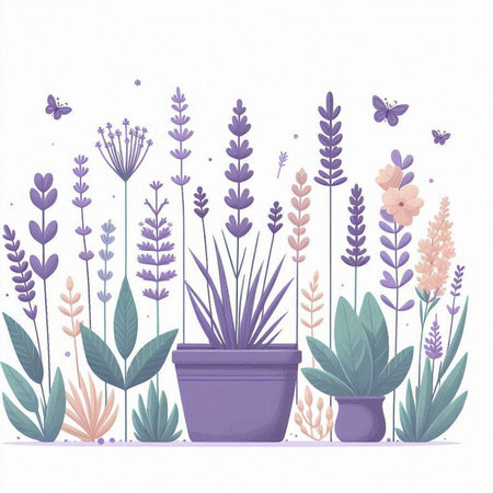 Beautiful vector illustration of lavender flowers in pots and butterflies.のイラスト素材