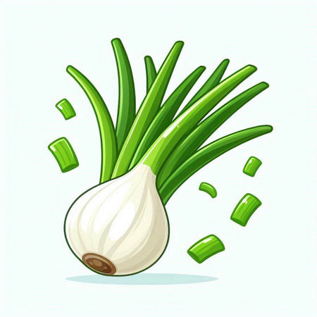 Illustration of a fresh green onion on a white background. Vector illustrationのイラスト素材