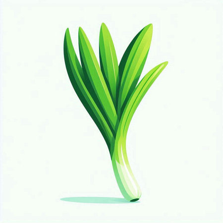 green leek on the white background. Vector illustration. Eps 10のイラスト素材