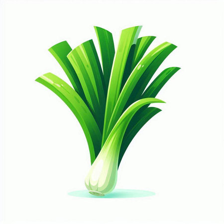 Green onion isolated on white background. Vector illustration. Eps 10.のイラスト素材