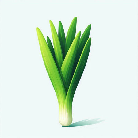 Illustration of a fresh spring onion on a light blue background.のイラスト素材
