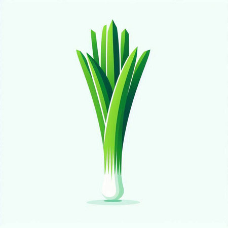 Green onion vector illustration isolated on white background. Vector illustration of green onion.のイラスト素材