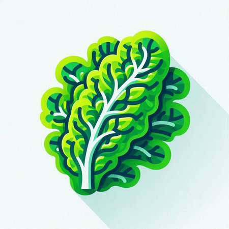 Lettuce icon. Flat design style. Vector illustration with long shadowのイラスト素材