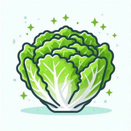 Cabbage vector illustration. Cabbage icon. Vector illustration of fresh vegetable.のイラスト素材