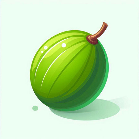 Illustration of a fresh green gooseberry on a white background.のイラスト素材