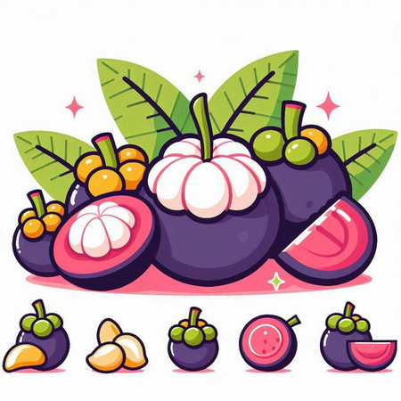 Mangosteen fruit. Vector illustration of mangosteen.のイラスト素材