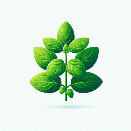 Fresh green basil leaves on white background. Vector illustration for your designのイラスト素材