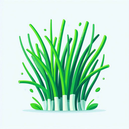 Vector illustration of green grass on a white background. Vector illustration.のイラスト素材