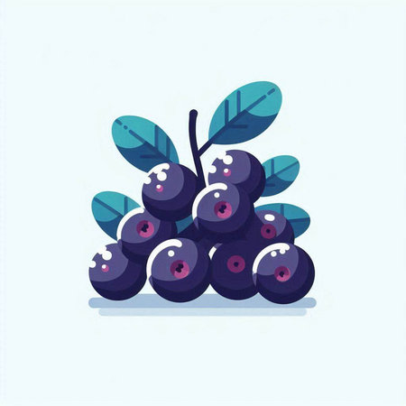 Blueberry vector illustration in flat style. Isolated on white background.のイラスト素材