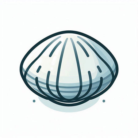 Sea shell vector illustration on white background. Hand drawn sea shell.のイラスト素材