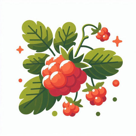 Raspberry vector illustration isolated on white background. Ripe berries with green leaves and red berries.のイラスト素材