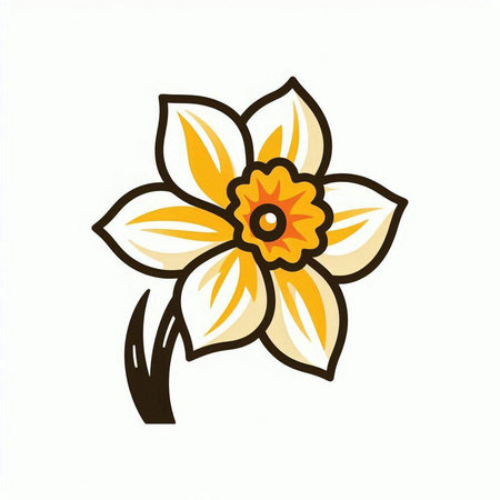 Narcissus flower on a white background. Vector illustration.のイラスト素材