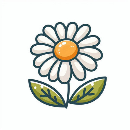 Chamomile flower with leaves isolated on white background. Vector illustration.のイラスト素材
