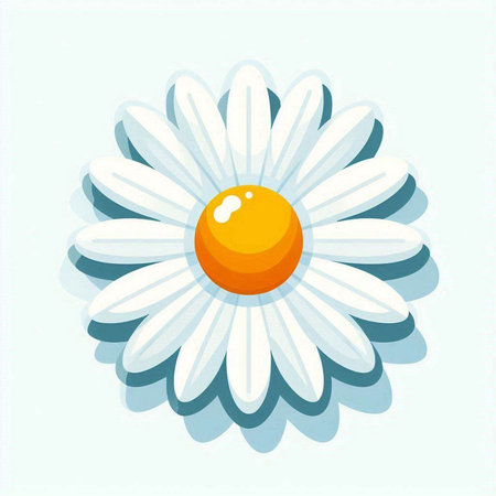 Cartoon daisy flower isolated on white background. Vector illustration.のイラスト素材