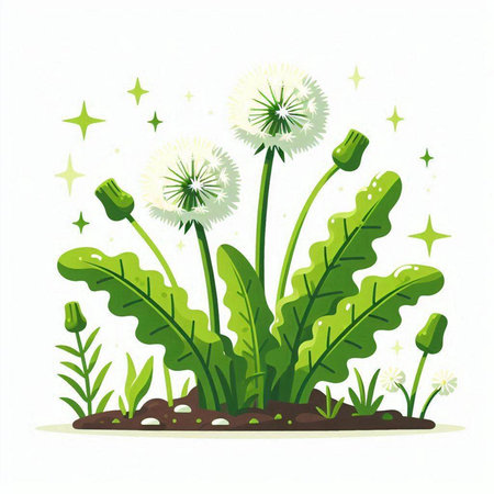 Dandelion flower with green leaves and grass. Vector illustration.のイラスト素材