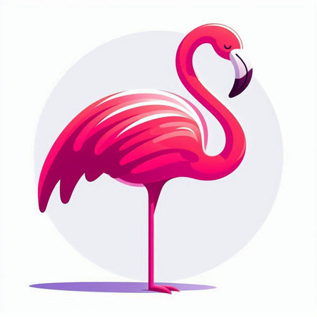 Pink flamingo on a white background. Vector illustration of a flamingo.のイラスト素材