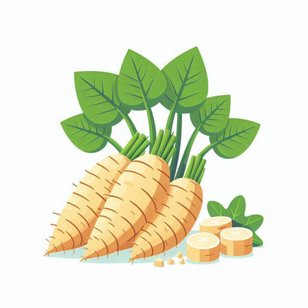 Fresh carrots with green leaves isolated on white background. Vector illustration.のイラスト素材