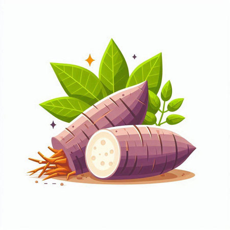 Cassava vector illustration isolated on white background. Sweet potato with leaves.のイラスト素材