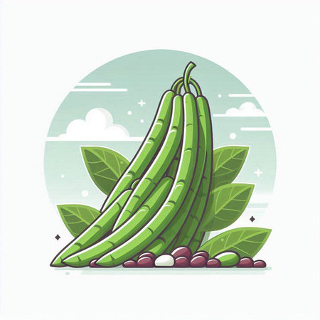 Green bean vector illustration on white background. Fresh and healthy food.のイラスト素材