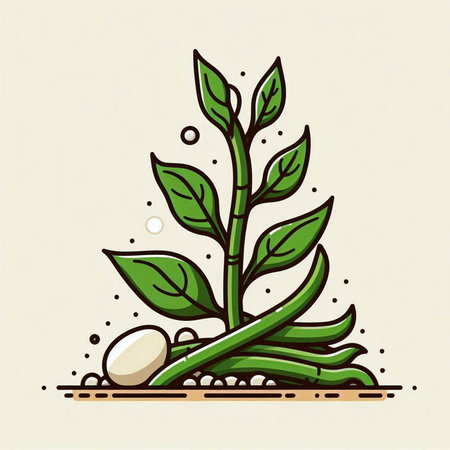 Green bean sprout with leaves and seeds. Vector illustration in flat style.のイラスト素材