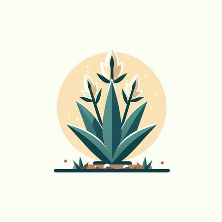 Illustration of a succulent plant in a flat style. Vector illustration.のイラスト素材