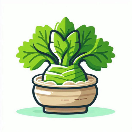 Cabbage plant in pot isolated on white background. Vector illustration.のイラスト素材
