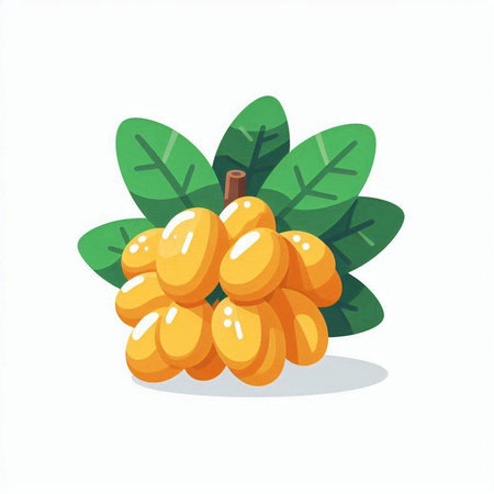 Yellow rowan fruit with leaves isolated on white background. Vector illustration.のイラスト素材